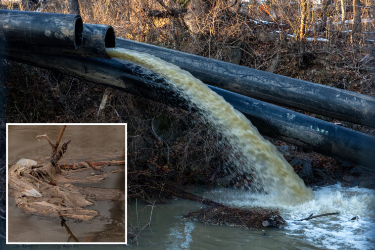 poo-tomac!-residents-of-wealthy-dc-suburb-say-living-near-collapsed-sewer-pipe-is-‘like-being-in-a-porta-john’