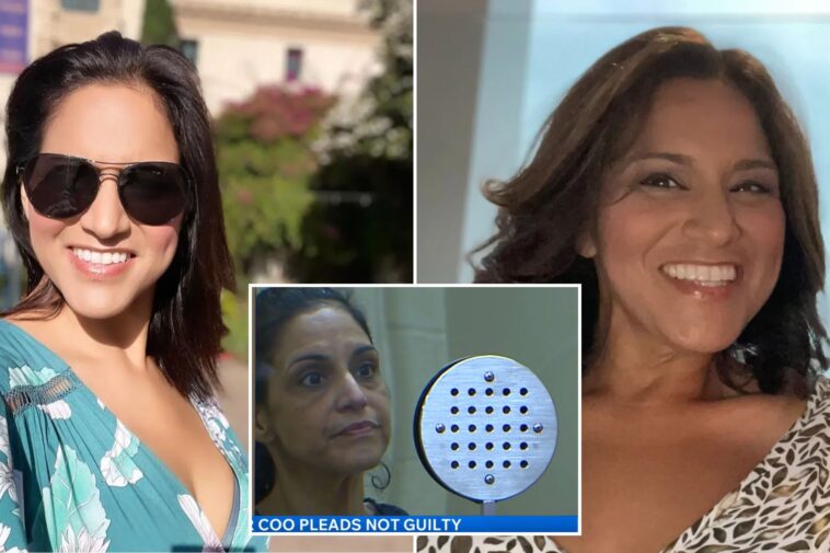 coo-accused-of-stealing-$132k-in-public-cash-and-blowing-it-on-plastic-surgery,-disneyland-enters-plea