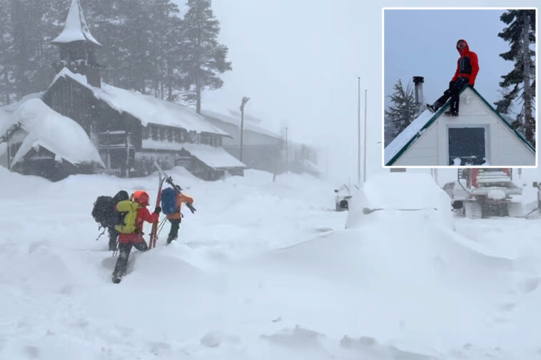 avalanche-survivors-tried-to-dig-friends-out-of-giant-snow-pack,-went-into-‘frantic-mode’