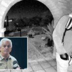 why-nancy-guthrie-hasn’t-been-found-—-from-cops’-early-errors-to-dna-blunder