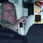 ex-prince-andrew-was-treated-like-a-‘common-criminal’-during-11-hours-in-custody:-‘extraordinary-fall-from-grace’