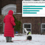 how-the-extreme-cold-is-negatively-affecting-the-live-of-more-and-more-americans,-poll-shows
