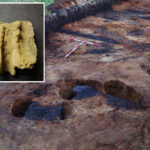 workers-installing-sewage-line-discover-‘incredibly-rare’-find-and-ancient-burial-site