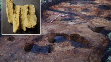 workers-installing-sewage-line-discover-‘incredibly-rare’-find-and-ancient-burial-site