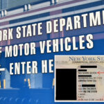new-york-to-stop-giving-commercial-driver’s-licenses-to-non-citizens