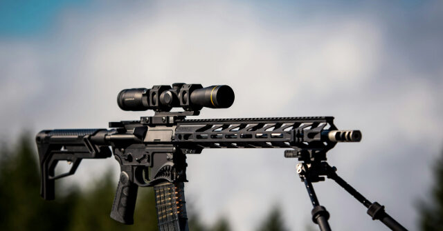 minnesota-dems-push-prohibition-against-owning-or-transferring,-ar-15s-and-other-rifles