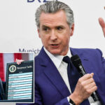 gavin-newsom-trolled-for-celebrating-trump’s-scotus-loss-on-tariffs:-‘sit-this-one-out’