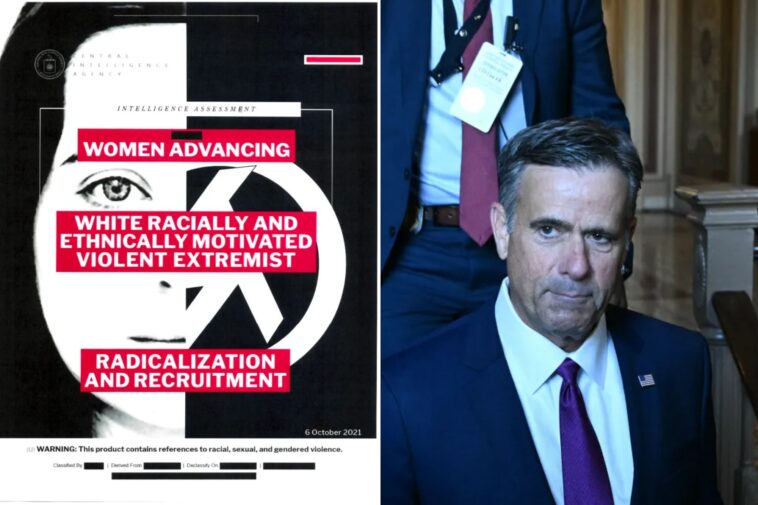 cia-rescinds-19-dei-infused-intel-reports,-including-warning-about-women-in-traditional-‘gender-roles’