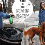 upper-west-side-model-crowned-‘poop-fairy’-for-single-handedly-cleaning-up-nabe’s-‘poopmageddon’