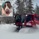 stranded-california-camper-and-his-dog-mud-saved-after-several-days-trapped-in-deep-snow