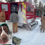 california-first-responders-rescue-camper-and-dog-stranded-in-snow-for-days