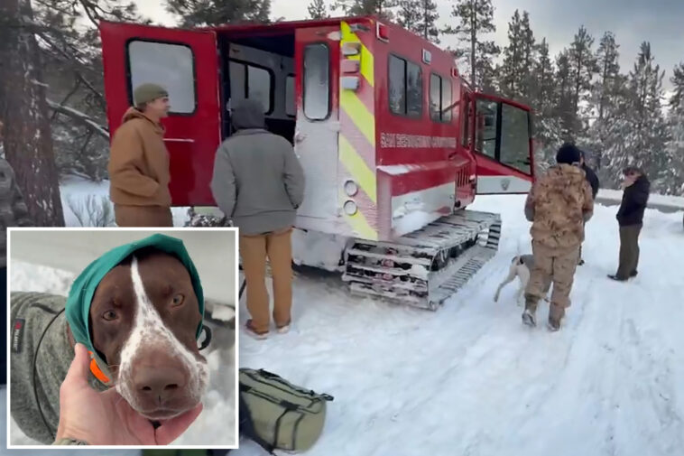 california-first-responders-rescue-camper-and-dog-stranded-in-snow-for-days