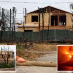 eye-popping-figure-needed-to-save-pacific-palisades-after-apocalyptic-wildfire