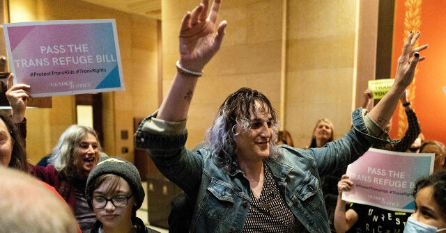 lgbtq-infighting-erupts-over-trans-lawmaker’s-claim-that-‘queer’-kids-need-access-to-adult-websites