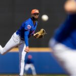 devin-williams-believes-‘mental-toughness’-will-help-him-in-first-mets-season