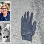 arizona-couple-found-blood-spotted-glove,-rock-with-blood-on-it-in-desert-mile-from-nancy-guthrie’s-home:-report