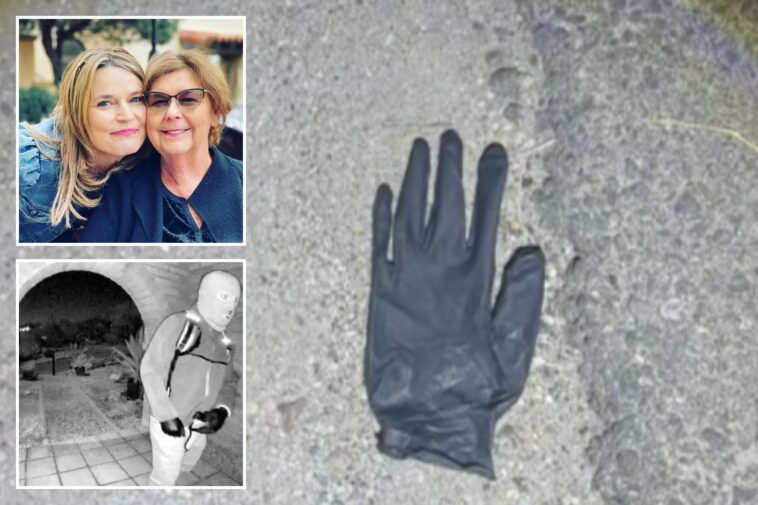 arizona-couple-found-blood-spotted-glove,-rock-with-blood-on-it-in-desert-mile-from-nancy-guthrie’s-home:-report