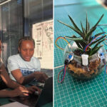 aloe,-nice-to-meet-you!-new-ai-device-lets-your-houseplants-talk-to-you