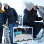 dogs-owners-stunned-when-they-spotted-their-pet-on-tv-—-at-the-olympics