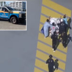 infant-viciously-mauled-by-family-bulldog-during-diaper-change-in-florida-home