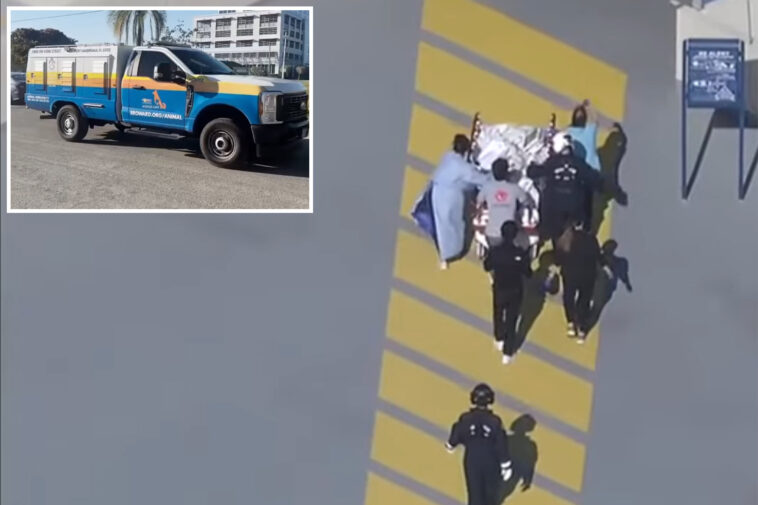 infant-viciously-mauled-by-family-bulldog-during-diaper-change-in-florida-home