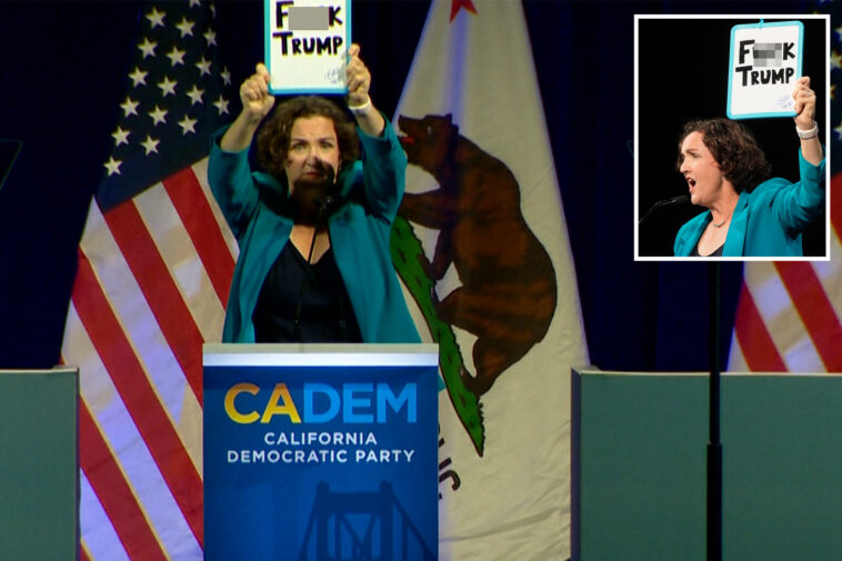 katie-porter-curses-like-a-sailor-in-tiresome-anti-trump-democratic-convention-speech