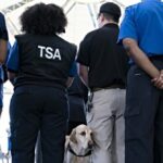 ‘endangers-our-national-security’:-democrats-blamed-as-tsa-programs-suspended-amid-government-shutdown