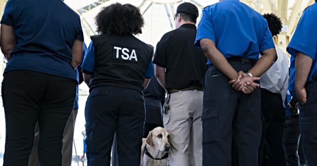 ‘endangers-our-national-security’:-democrats-blamed-as-tsa-programs-suspended-amid-government-shutdown