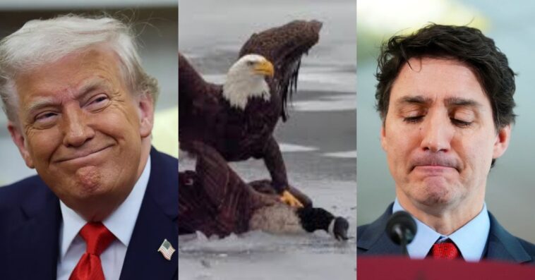 white-house-drops-epic-eagle-meme-on-trudeau-after-usa-crushes-canada-in-olympic-hockey