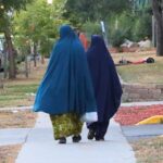 ‘it’s-hidden’:-female-genital-mutilation-and-the-secret-shame-of-minnesota’s-somalis