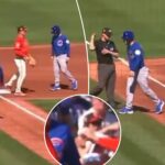giants-play-through-‘bizarre’-alarm,-turn-wild-triple-play-after-cubs-rookie’s-‘boneheaded’-error