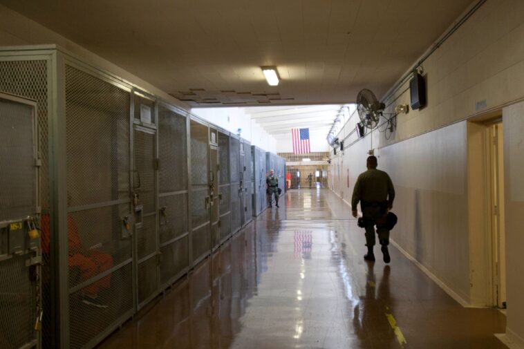 fury-as-serial-child-molester-freed-from-prison-early:-‘monster-parents-fear-most’