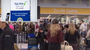 chaos-at-lax-after-tsa-precheck-and-global-entry-shut,-furious-flyers-trapped-in-massive-lines