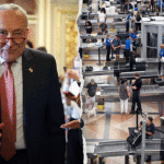 democrats-demanding-ice-reforms-lose-airport-escorts-in-shutdown-they-triggered