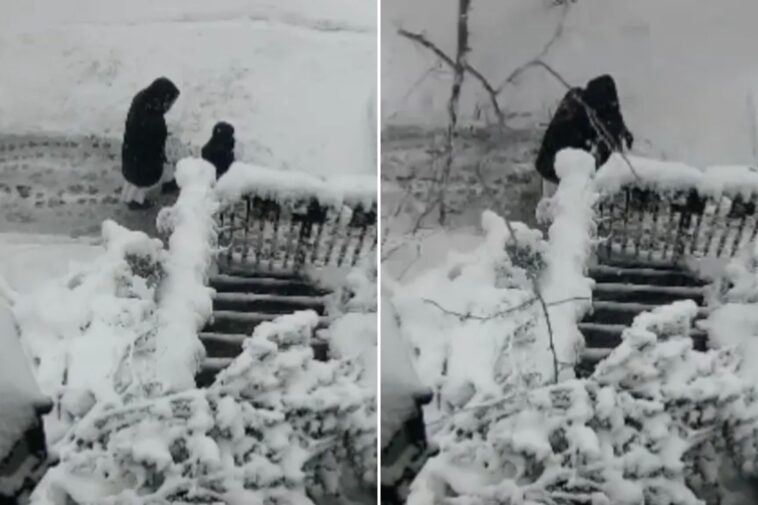 child-and-nun-barely escape-disaster-as-tree-falls-during-nyc-blizzard,-wild-video-shows