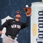 max-schuemann-helps-his-opening-day-roster-case-in-yankees-outfield