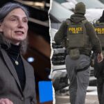 house-dem-compares-trump’s-illegal-immigration-crackdown-to-‘terrorism,’-vows-to-abolish-ice