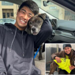 dog-that-bolted-into-colorado-mountains-reunited-with-owner-after-43-days-in-wilderness