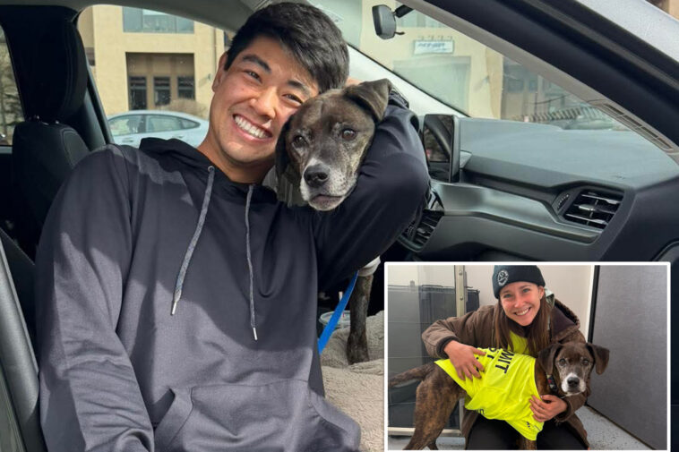 dog-that-bolted-into-colorado-mountains-reunited-with-owner-after-43-days-in-wilderness