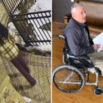 police-release-video-of-suspect-in-murder-of-millionaire-philanthropist-at-dc-area-assisted-living-home