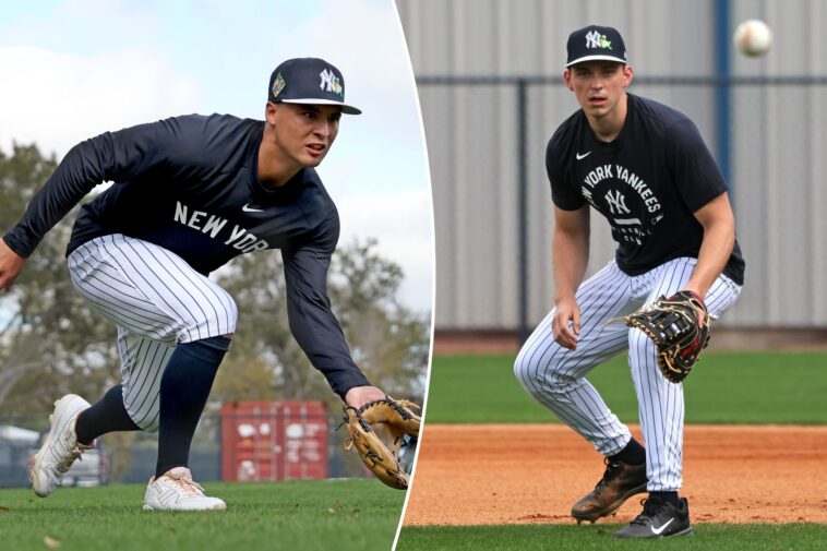 the-questions-the-yankees-must-answer-to-complete-roster-—-with-ben-rice,-anthony-volpe-wrinkles