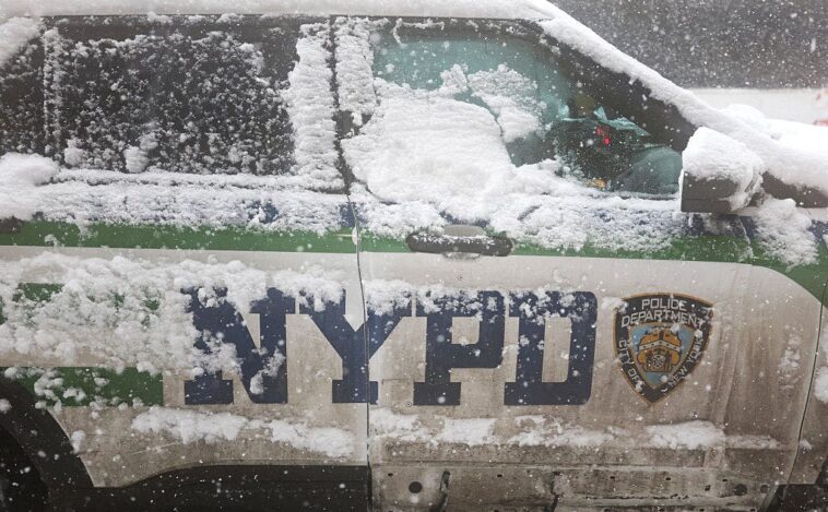‘disgraceful’:-nypd-officers-pelted-with-snowballs,-chased-out-of-park