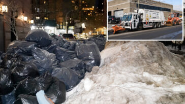 nyc-trash-pickup-delayed-as-sanitation-dept-races-to-remove-2-plus-feet-of-snow