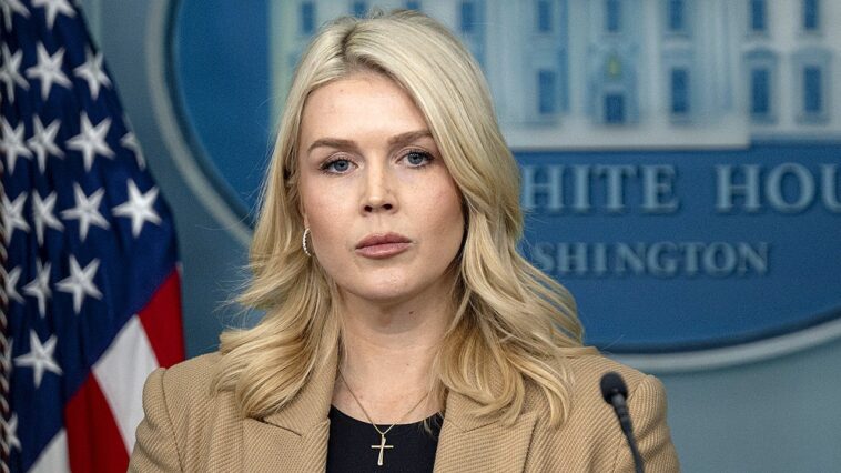 karoline-leavitt-warns-cartels-to-‘not-lay-a-finger’-on-americans-or-pay-‘severe-consequences’