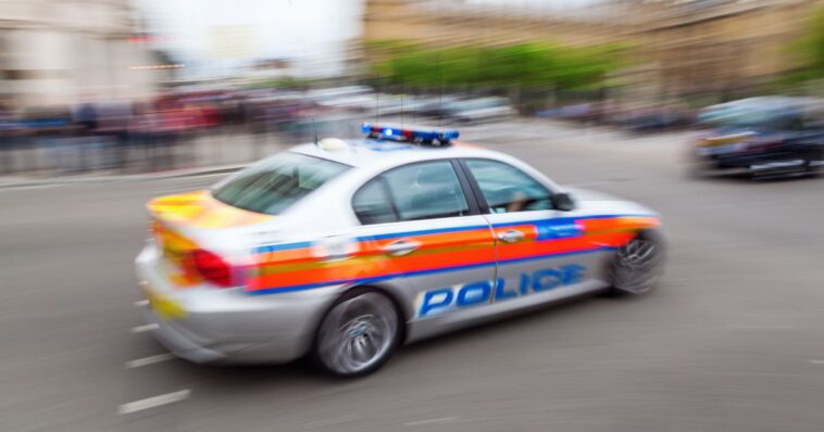 stomach-turning:-uk-officers-used-police-cars-to-help-traffic-girls-for-pakistani-rape-gang,-according-to-latest-report