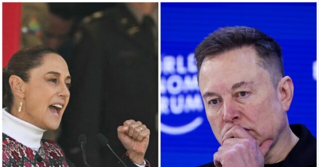 mexican-president-may-sue-elon-musk-for-implying-she-works-for-drug-cartels