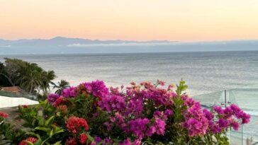 american-trapped-at-luxury-resort-in-mexico-told-‘no-one’s-leaving’-by-hotel-staff