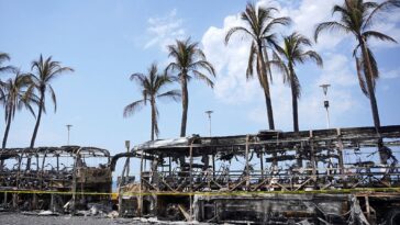 we-live-next-to-a-failed-narco-state.-why-are-we-still-focused-on-the-middle-east?