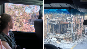 americans-stranded-in-puerto-vallarta-describe-seeing-burned-out-buses,-looted-shops-as-they-flee-cartel-violence