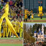 a-national-phenomenon,-‘bananaball’-is-bigger-than-ever-before